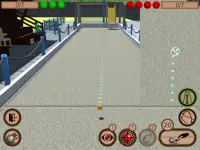 3D Bocce Ball: Hybrid Bowling & Curling Simulator Screen Shot 9