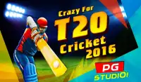 I.P.L T20 Cricket 2016 Craze Screen Shot 6
