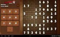 Sudoku Ninja Screen Shot 6