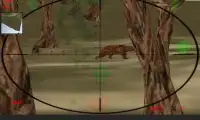 Sniper Hunting - 3D Shooter Screen Shot 1