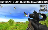 Pengembaraan Duck Hunt Wild - Sniper Shooter FPS Screen Shot 2