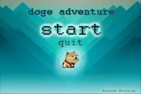 Doge Adventure Screen Shot 0