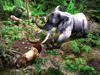 Wild Lion Simulator - Animal Family Survival Game Screen Shot 7