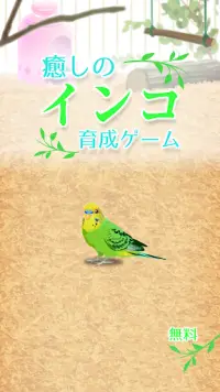 癒しのインコ育成ゲーム Screen Shot 0