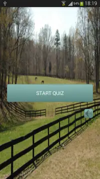 Horse Challenge Screen Shot 0