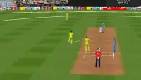 Unlimited Cricket 3D Screen Shot 4