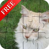 Curious Cats Jigsaw Puzzle