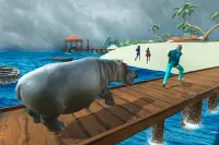 Wild Hippo Beach Simulator Screen Shot 14