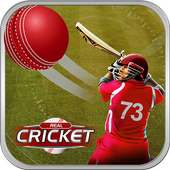 Play Cricket Matches