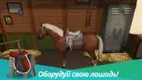 Horse World Premium – игра о лошадях Screen Shot 2