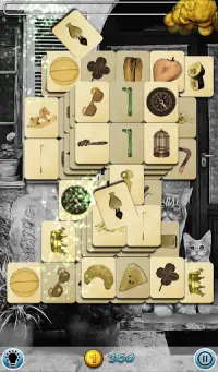 Hidden Mahjong: The Cat Family Screen Shot 4