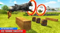 Hundetraining: Hundespiele 3D Screen Shot 1