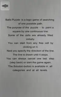 Puzzle dengan bola Screen Shot 7