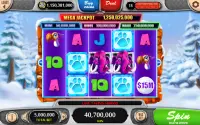 Playclio Wealth Casino - Exciting Video Slots Screen Shot 3