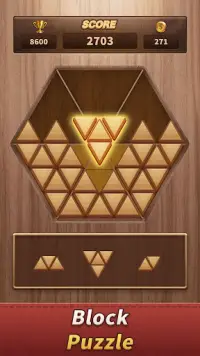 Woody Trigon Block Puzzle Game Screen Shot 3