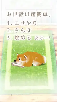 癒しの子犬育成ゲーム〜柴犬編〜 Screen Shot 6