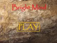 Bright Mind Screen Shot 4