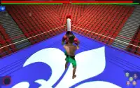 Смертельный бой Бокс 3D Screen Shot 6