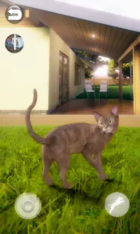 Talking Abyssinian Cat Screen Shot 0