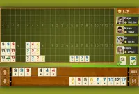 Rummy - Offline Board Game Screen Shot 1