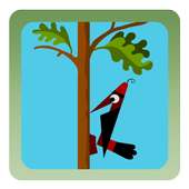 Woodpecker Backyard Woodcutter