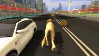 Animal Friends Rush : Fun Run Racing Game Screen Shot 4