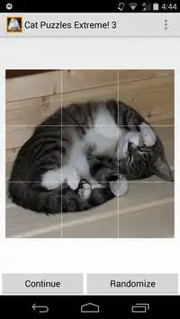 Cat Puzzles Extreme! 3 Screen Shot 2