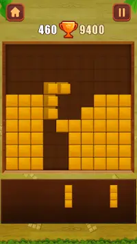 Wood Puzzle 2019-Classic Game Screen Shot 2
