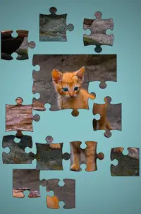 PUZZLES GRATIS RAREPEAK - FREE JIGSAW PUZZLES Screen Shot 3