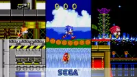 Sonic The Hedgehog 2 Classic Screen Shot 3