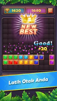 Block Puzzle Gem: Jewel Blast Screen Shot 2
