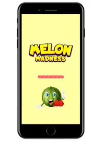 Melon Madness Screen Shot 0