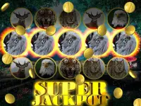 Wild Cat Slot: Real Jackpot &  Screen Shot 8