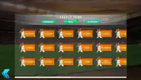 BaseBall Challenge Game - 2017 Screen Shot 3