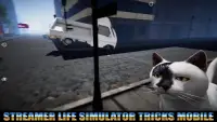 Tricks Streamer Life Simulator Screen Shot 0