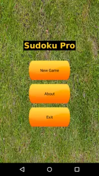 Sudoku Pro Free Screen Shot 0
