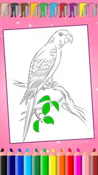 Birds Coloring Book Screen Shot 1