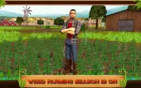 Weed Farming Game 2018 Screen Shot 4