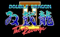 Double Dragon 2 Screen Shot 0