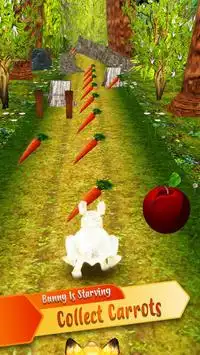Forest Bunny Run :Bunny Game Screen Shot 0