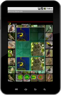 True Birds Memory Game Free Screen Shot 8
