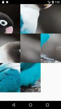 Rompecabezas pájaros encantadores Screen Shot 1