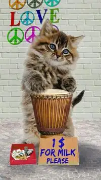 Funny cats Dancing and playing Screen Shot 8