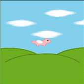 Flying Pig