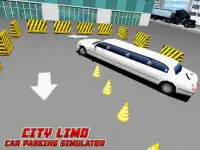City Limo Car Parking Sim 3D Screen Shot 2