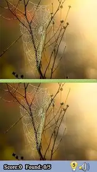 Spot the Difference Game Online Gratis Screen Shot 2