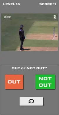 Cricket OUT or NOT Screen Shot 6