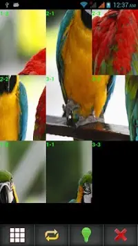Birds Puzzle Screen Shot 1