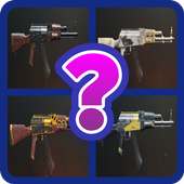 PUBG MOBILE SKIN - QUIZ