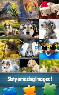 Pets Jigsaw Puzzle Game Screen Shot 5